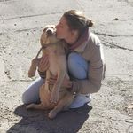 Savannah Mitchell - @savthegroomer - Instagram