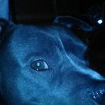 Savannah Mossman - @savannahmossman4758ne - Instagram