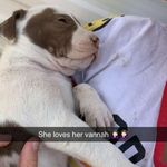 Savannahmueller - @savannahmueller39 - Instagram