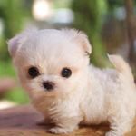 savannah - @savannah_otten9558 - Instagram