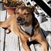 Savannah Lynne Parr - Facebook