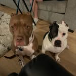 Savannah & Patrick - @savandpat_thepits - Instagram