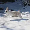 savannah 🤍 - @savannah.pfeiffer - TikTok