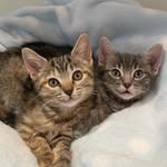 Ralphie & Savannah - @ralphieandsavannah - Instagram