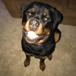 Sarah_LePere - @mom_of_mina_ralph_savannah - Instagram