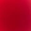 Savannah.Roark - @smroark_ - TikTok