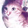 Savanah Rojo - @s17622 - TikTok