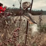 Savannah Saunders - @s_s_photography2020 - Instagram