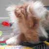 Savannah Saunders - @savannah.saunders - TikTok