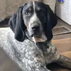 Savannah Stanley - @savannah.stanley - TikTok