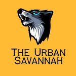 The Urban Savannah - @the_urban_savannah - Instagram