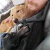 Savanna Van Winkle - @savanna.van.winkl4 - TikTok