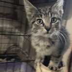 Savannah Wall - Facebook