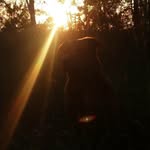 savannah wall - @swall21108 - Instagram