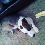 savannah ware - @savy_big_sis - Instagram