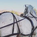 Savannah Warner - @badwoofle - Instagram