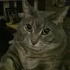 user5572117745326 - @savannah_way24 - TikTok
