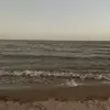 savannah.webster.444 - @savannah.webster.444 - TikTok