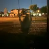 Savannah - @savannah.wheatcra - TikTok