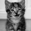 Winter&Savannah - @winter.__.savannah - TikTok