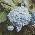 Savannah Wise - @wise.bookworm - Instagram