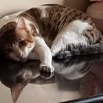 nainadias - @savio.channel2019 - Instagram