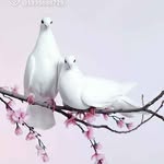 mahima - @savitrimathura010119612021 - Instagram