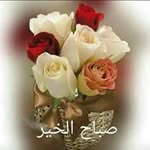 Sawsan Bitar - @hasaya95 - Instagram