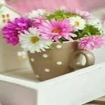 Sawsan Bitar - @sawsanbitar1 - Instagram