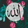 Sawsan Farhat - @sawsanf0908 - TikTok