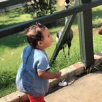 Sawsan Farhat - @sososso262018 - Instagram