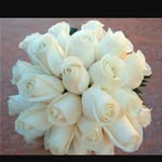 Sawsan Issa - @sawsan.issa.3705 - Instagram