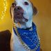 Sawyer Armstrong - Facebook
