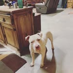 Sawyer Brooks - @sawyerbrooks44 - Instagram