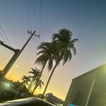 Sawyer Brooks - @fl__sawyer_ - Instagram