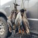 Sawyer Brooks - Facebook
