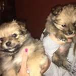 Sawyer_Brooks - @sawyer_brooks00 - Instagram