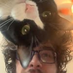 Sawyer Dibble - @o.sawyer_ - Instagram