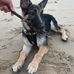 Saxon Graham - Facebook