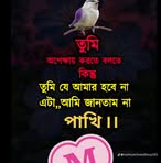 Sayed Chowdhury - Facebook