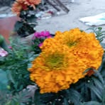 Sayed Chowdhury - Facebook
