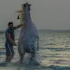 Sayed hassan 77 - @sayed_hassan77 - TikTok