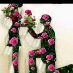 Sayed Mia - @sayed.mia.14855377 - Instagram