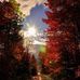 Sazgar H Rashid - Facebook