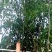 Sazid Khan - Facebook