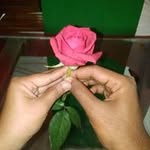 Sazzad Sumon - @sazzad.sumon.18 - Instagram