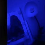 Scarlet Rose - Bennett - @scarletrosebennett - Instagram