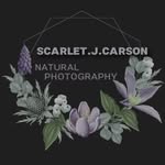 sᴄᴀʀʟᴇᴛ ᴄᴀʀsᴏɴ - @scarletcarson.cn - Instagram