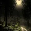 ScarletCarsons - @scarletcarsons - TikTok