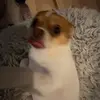 Scarlett - @scarlett.chambers739 - TikTok
